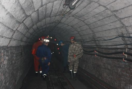 煤礦行業(yè)智能型可燃?xì)怏w傳感器模組-廠家直銷(xiāo)價(jià)格