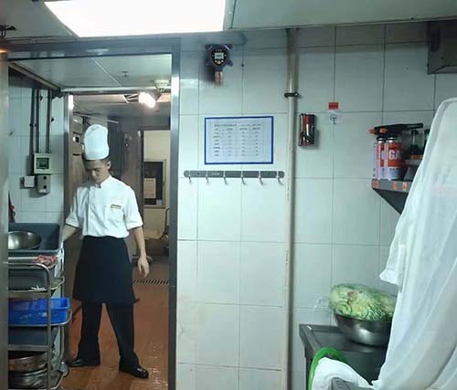 防爆型燃?xì)馓綔y(cè)器