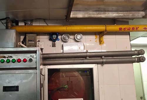 防爆型燃?xì)馓綔y(cè)器