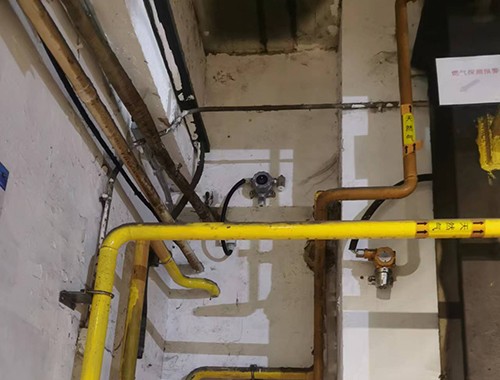 可燃有毒氣體檢測儀