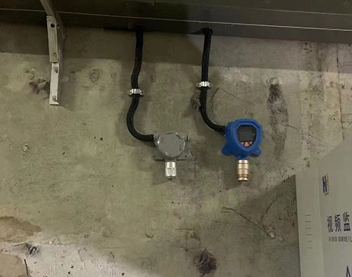 橡膠廠苯醛檢測儀應用案例